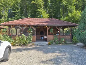 Inchiriez Cabana pe Valea Avrigului-Casa Natalia - imagine 10