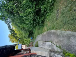 VAND URGENT casa + teren 1200mp - imagine 2