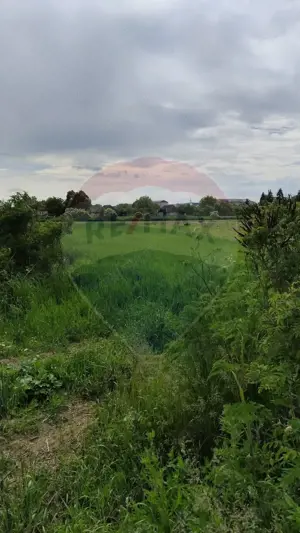 Teren intravilan Ulmeni ! - imagine 2