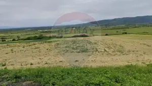 Teren extravilan de vanzare in Manau -Maramures!