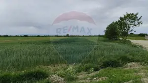 Teren intravilan Ulmeni !