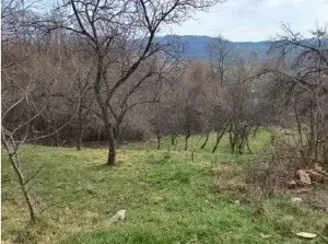 Teren Vulcana Bai, cota parte de 1/4, ID: R2583083