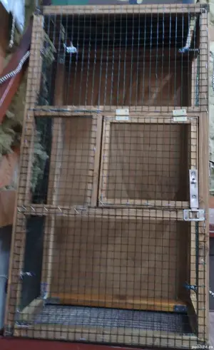 Cuști transport porumbei pliabile  - imagine 4