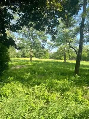 Teren extravilan, 10000 mp, Vicovu de Sus