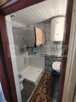 Cabana 5 camere Salard - imagine 9