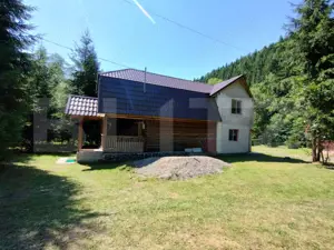 Cabana 4 camere Lunca Bradului - imagine 3