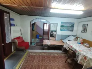 Cabana 5 camere Salard - imagine 13