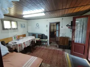 Cabana 5 camere Salard - imagine 11