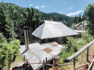 Cabana 5 camere Salard - imagine 4