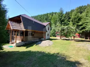 Cabana 4 camere Lunca Bradului - imagine 2