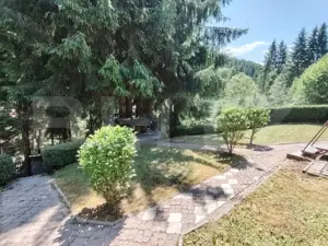 Cabana 5 camere Salard - imagine 16