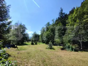 Cabana 4 camere Lunca Bradului - imagine 19