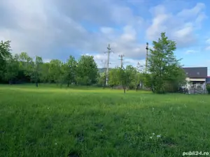 Teren vanzare Brebu - imagine 8