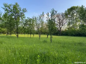 Teren vanzare Brebu - imagine 10