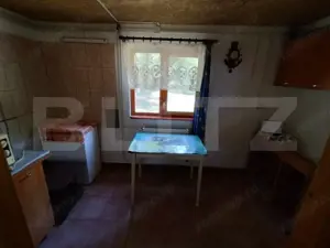 Cabana 4 camere Lunca Bradului - imagine 11