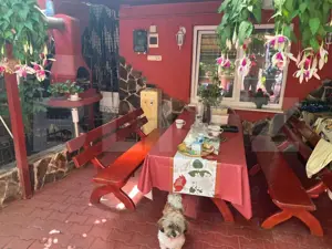 Casă 7 Noiembrie – 277 mp teren, perfectă pentru locuit sau afacere - imagine 5