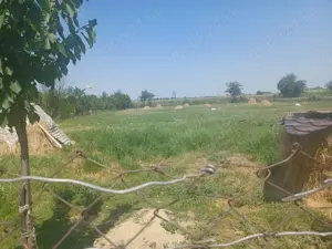 Casa de vanzare-Ivanda - imagine 5