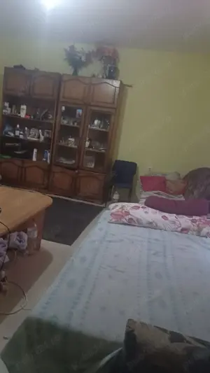 Casa de vanzare-Ivanda - imagine 7