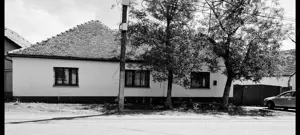 CASA CU TEREN  DE 3.000 MP IN LOCALITATEA GIARMATA LA 195.000 EURO - imagine 3 CASA CU TEREN  DE 3.000 MP IN LOCALITATEA GIARMATA LA 195.000 EURO - imagine 3