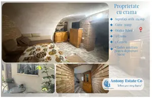 Proprietate cu crama, Ultracentral, casa de vanzare, Oradea, Bihor - imagine 12 Proprietate cu crama, Ultracentral, casa de vanzare, Oradea, Bihor - imagine 12