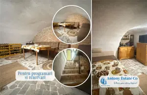 Proprietate cu crama, Ultracentral, casa de vanzare, Oradea, Bihor - imagine 19 Proprietate cu crama, Ultracentral, casa de vanzare, Oradea, Bihor - imagine 19