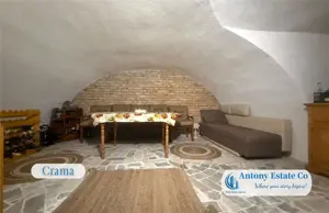 Proprietate cu crama, Ultracentral, casa de vanzare, Oradea, Bihor - imagine 13 Proprietate cu crama, Ultracentral, casa de vanzare, Oradea, Bihor - imagine 13