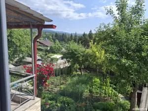 Casa 5 camere, util 122 mp, beci, garaj. 1.200 mp intravilan cu livada - imagine 6