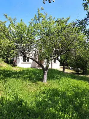 casa pe parter in Hulubesti Dambovita la numai 32000 euro - imagine 4