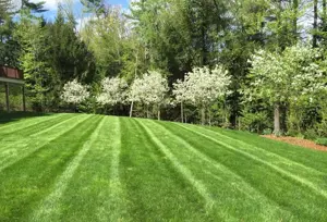 tuns gazon iarba cu masina electrica FĂRĂ ZGOMOT MARE, FĂRĂ POLUARE!  - imagine 2