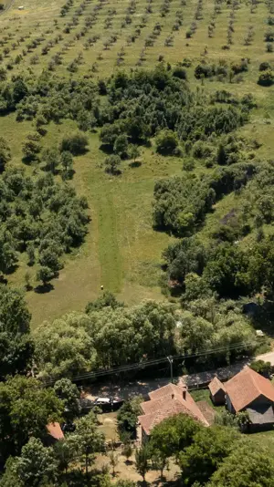 Exclusivitate! Teren pentru investitie - imagine 2