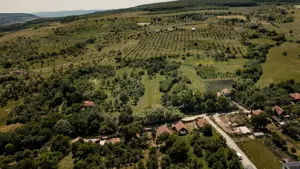 Exclusivitate! Teren pentru investitie