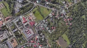 Copou str Fagului casa (1970) d+p = 200mp teren=400mp - imagine 2