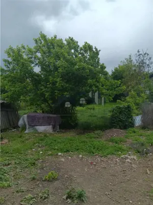 Ciurbesti TEREN 1347mp cu casa batraneasca 61mp utilitati trase panorama superba - imagine 4