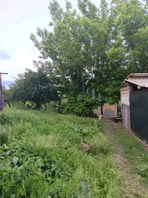 Ciurbesti TEREN 1347mp cu casa batraneasca 61mp utilitati trase panorama superba - imagine 6