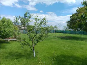 Aroneanu teren 550mp intravilan loc de casa cu toate utilitatile functionale - imagine 3