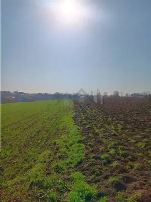 OCAZIE! Vorovesti Teren 83000mp intrav. si extrav. cu utilitati