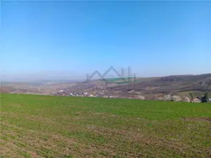 OCAZIE! Vorovesti Teren 83000mp intrav. si extrav. cu utilitati - imagine 2