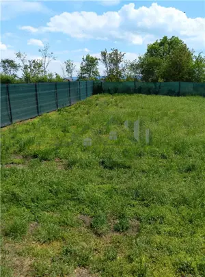 Aroneanu teren 550mp intravilan loc de casa cu toate utilitatile functionale - imagine 4