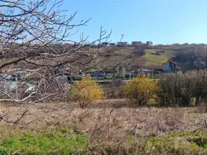 OCAZIE! Vorovesti Teren 83000mp intrav. si extrav. cu utilitati - imagine 9