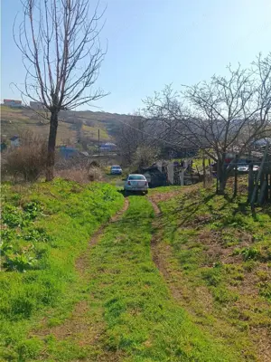 OCAZIE! Vorovesti Teren 83000mp intrav. si extrav. cu utilitati - imagine 5