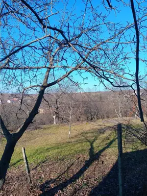 Bucium, Fundac Paun, teren1500mp. intravilan  str asfaltata - imagine 2