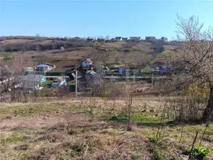 OCAZIE! Vorovesti Teren 83000mp intrav. si extrav. cu utilitati - imagine 8