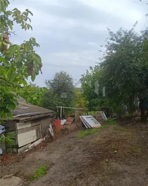 Bucium, Fundac Paun, teren1500mp. casa veche, locuibila, 80mp.cu utilitati - imagine 4