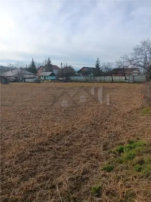 Teren 3500mp. Paun Bucium la asfalt cu toate utilitatile