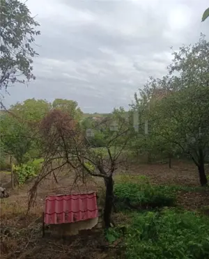 Bucium, Fundac Paun, teren1500mp. casa veche, locuibila, 80mp.cu utilitati - imagine 3