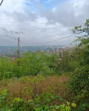 Bucium, Fundac Paun, teren1500mp. casa veche, locuibila, 80mp.cu utilitati - imagine 5