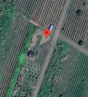 Tomesti - Cabana din lemn si Teren 1008mp intravilan - imagine 4