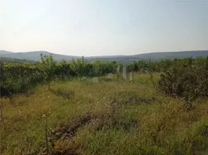 Tomesti - Cabana din lemn si Teren 1008mp intravilan - imagine 7