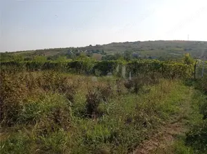 Tomesti - Cabana din lemn si Teren 1008mp intravilan - imagine 5