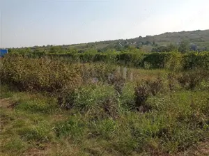 Tomesti - Cabana din lemn si Teren 1008mp intravilan - imagine 6